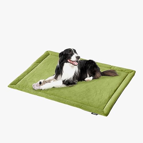 ALLISANDRO wasserdichte Hundedecke Premium Dutch-Velvet Haustier Hund Katze Matte - Erhältlich in Mehreren Größen (80x60cm, 100x73cm, 118x73cm) von ALLISANDRO