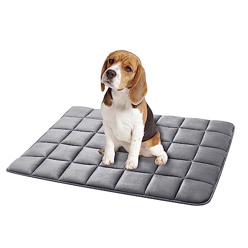 ALLISANDRO Hundematte wasserdichte Hundedecke weiches Katzenkissen Sofamatte Matratze Waschbar Warmes Haustier-Fleece-Pad Matte, Rauchgrau 100x75cm von ALLISANDRO