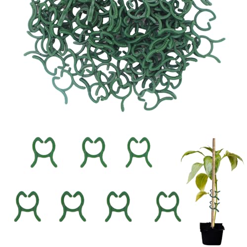 ALLY-MAGIC Klein Pflanzenclips, Pflanzenklammern, Tomatenstäbe, 100 Stück Wiederverwendbar Pflanzen Clips für Kletterpflanzen Unterstützen Pflanzen Gemüse Obst E21-ZWJ von ALLY-MAGIC