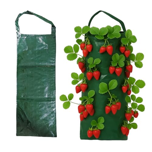 ALLY-MAGIC Pflanzsack Hängend, Erdbeere Pflanzsack, Pflanzbeutel mit Henkeln, Pflanzsack mit 8 Löchern, 2 Stück Pflanztasche für Erdbeere Kräuter Gemüse Blumen E21-XGZWD von ALLY-MAGIC