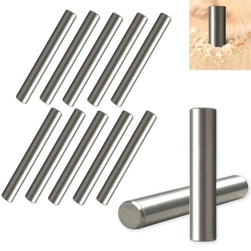 ALLY-MAGIC Regalstifte Zylinderstift, Regalbodenträger, Bodenträger, Edelstahl Zylindrischer Stifte, Regalbodenhalter, Regalbrett Halterung für Einlegeböden Schränke Türen Fenster E21-YZX von ALLY-MAGIC