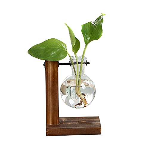 ALMAK Hydroponic Planter Bulb Vase Glasvase Vintage Transparent Holzregal Dekoration für Hausgarten Hochzeit von ALMAK