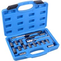 17-teiliges professionelles Reinigungswerkzeugset für Dieselinjektoren 17-teiliges professionelles Reinigungswerkzeugset für Dieselinjektoren von ALOVEZ