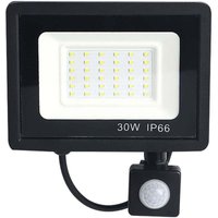 30W LED Flutlicht mit Bewegungsmelder für den Außenbereich IP65, Farbtemperatur: Kaltweiß 3000K/6500K - RWMotion Bewegungsmelder Flutlicht 30W LED Flutlicht mit Bewegungsmelder für den Außenbereich IP65, Farbtemperatur: Kaltweiß 3000K/6500K - RWMotion Bewegungsmelder Flutlicht von ALOVEZ