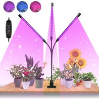 ALOVZE 30W Tasmor Pflanzenwachstumslicht, Zimmerpflanzenlampe, 60 LEDs, 360°-Gartenwachstumslampen mit Timing, Garten-LED ALOVZE 30W Tasmor Pflanzenwachstumslicht, Zimmerpflanzenlampe, 60 LEDs, 360°-Gartenwachstumslampen mit Timing, Garten-LED von ALOVEZ