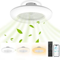 ALOVZE LED-Deckenventilator mit Beleuchtung und Fernbedienung – 80 W dimmbarer Ventilator ALOVZE LED-Deckenventilator mit Beleuchtung und Fernbedienung – 80 W dimmbarer Ventilator von ALOVEZ