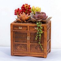 Alovez - Blumentöpfe – Dekorativer Topf in Retro-Schrankform, atemberaubend detaillierte Retro-Blumentöpfe mit Abfluss von ALOVEZ