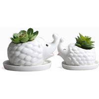 Weißer Keramik-Blumentopf für Sukkulenten, Blumentopf in Igelform, niedlicher Topf für Kakteen, Luftpflanzen Weißer Keramik-Blumentopf für Sukkulenten, Blumentopf in Igelform, niedlicher Topf für Kakteen, Luftpflanzen von ALOVEZ