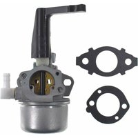 Rasenmäher-Vergaser, Vergaser für Briggs Stratton 696065 697422 Vergaser mit Montagedichtung 696065 697422 110402 110412 110402-0206-E1 110412 von ALOVEZ