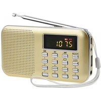 Tragbares Radio, FM-AM-Radio, batterie- und netzbetrieben, MP3, Lautsprecher, unterstützt TF-Karte/USB, Taschenlampe, geeignet (Gold) von ALOVEZ