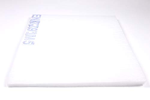 ALP Filtertechnik Luftfilter Pollenfilter F5 (neu M5) 2m x 1m, Dicke 16mm, 360g/m², Polyester Filtervlies, zum Zuschneiden von ALP Filtertechnik