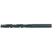 Maykestag Spiralbohrer DIN338RN hss Zylinderschaft ø 2,9 mm, 10 Stück von ALPEN-MAYKESTAG