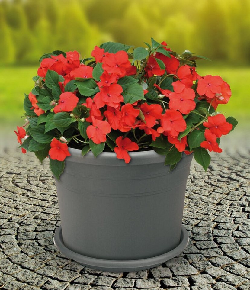 ALPFA Blumentopf Blumenkübel Pflanztopf 30 cm inkl. Untersetzer Pflanztopf grau (Spar-Set, Blumentopf inkl. Untersetzer), inkl. Untersetzer von ALPFA