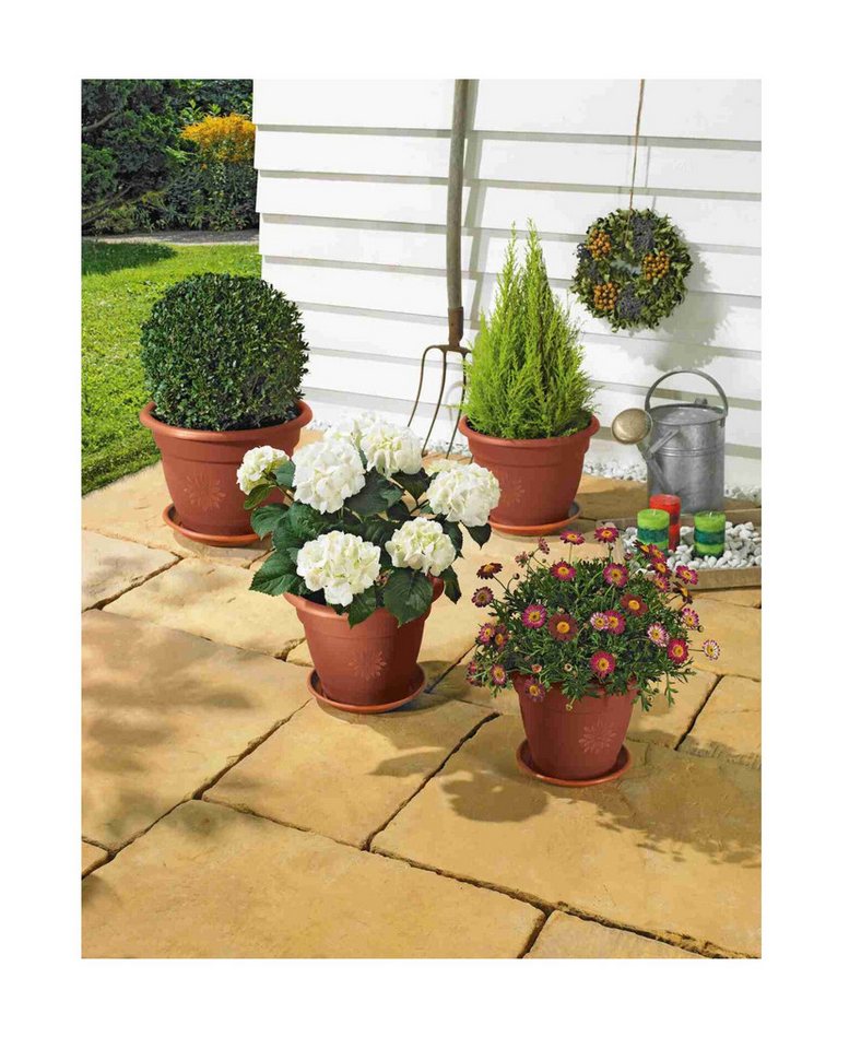 ALPFA Blumentopf Set Sydney terracotta inkl. Untersetzer Blumenkübel Blumentöpfe (Spar-Set, 4er-Set), aus witterungs- und UV-beständigem Kunststoff von ALPFA