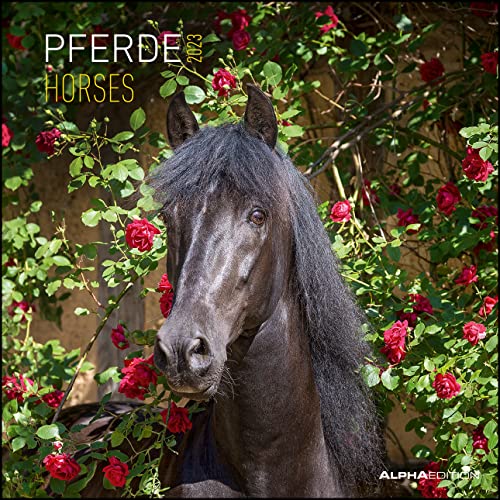 Pferde 2023 - Broschürenkalender 30x30 cm (30x60 geöffnet) - Kalender mit Platz für Notizen - Horses - Bildkalender - Wandplaner - Pferdekalender von ALPHA EDITION GmbH