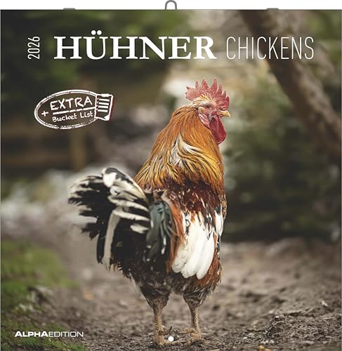 Hühner 2026 - Broschürenkalender 30x30 cm (30x60 geöffnet) - Kalender mit Platz für Notizen - Hühner - Bildkalender - Wandkalender - Hühnerkalender: Chickens von Alpha Edition
