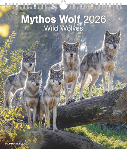 Mythos Wolf 2026 - Foto-Kalender - Wand-Kalender - 30x34: Wild Wolves von ALPHA EDITION