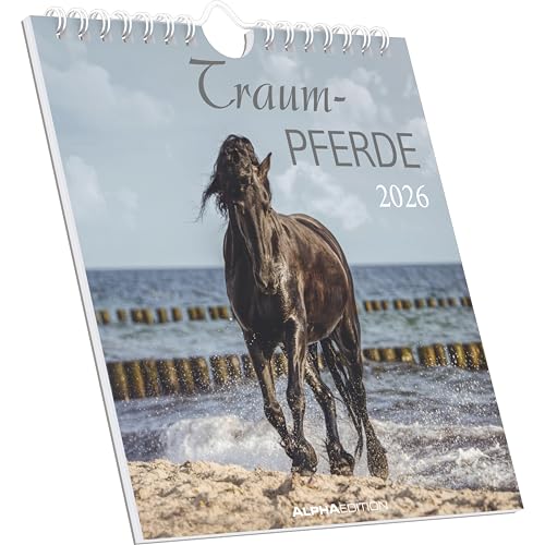 Traumpferde 2026 - Postkartenkalender 16x17 cm - Horses - zum Aufstellen oder Aufhängen - Monatskalendarium - Gadget - Mitbringsel - Alpha Edition von ALPHA EDITION