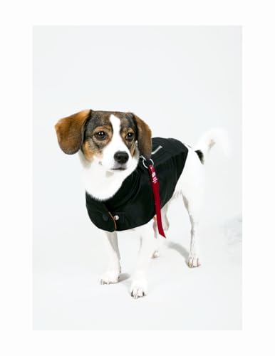 Alpha Industries Dog MA-1 Nylon Flight Jacket Fliegerjacke für Hunde Black, XL von ALPHA INDUSTRIES