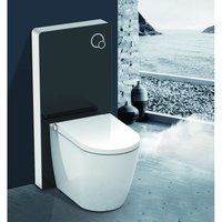Alphabad - Schwarzglas Sanitärmodul für Stand-WC inkl. Betätigungsplatte von ALPHABAD