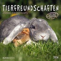 ALPHAEDITION Monats-Wandkalender Tierfreundschaften 2026 von ALPHAEDITION