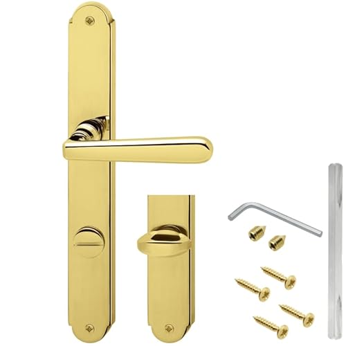 ALSTEN TECH Langschild Drückergarnitur 78 WC - Badrumsgarnitur Türgriff Türklinke aus Messing Beidseitige Federunterstützung Inbusklemmung Türbeschlag Ausführung Poliert von ALSTEN TECH