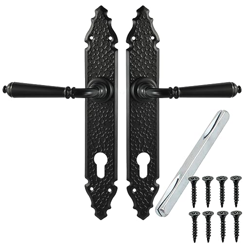 ALSTEN TECH Türgriff Türbeschlag Set Drückergarnitur L 92 PZ Profilzylinder für Innentüren Zimmertüren Schwarz Matt Langschildgarnitur Türklinke BB WC ALSTEN TECH Türgriff Türbeschlag Set Drückergarnitur L 92 PZ Profilzylinder für Innentüren Zimmertüren Schwarz Matt Langschildgarnitur Türklinke BB WC von ALSTEN TECH