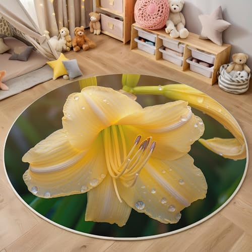 ALTCIRNMD 3D Rund Gelbgrün Blühende Taglilien 120Cm Kinder Jugendliche Jungen Teppich Schlafzimmer Stuhl Matte Kinderzimmer Wohnzimmer Natürliche Pflanzen Weichem Balkon Korridor Kinderteppiche von ALTCIRNMD