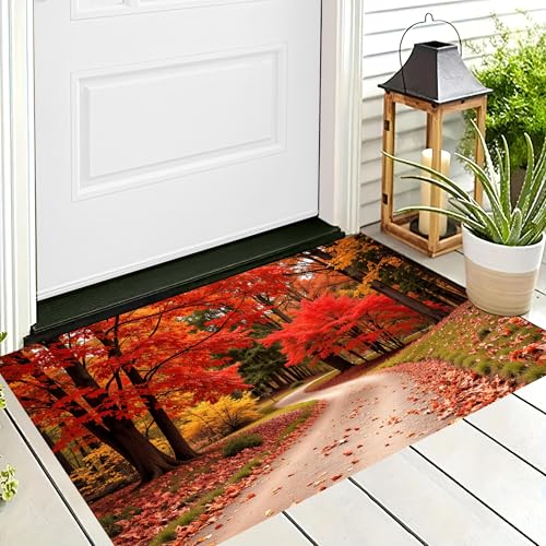 ALTCIRNMD 3D-Teppiche Orange-Rot Straße Wald,Fußmatte Für Innen Außenbereich,Saugfähig,Ultradünn rutschfest Schnell Trocknend,Teppich Natürliche Herbstlandschaft Für Badezimmer Dusche,70X100Cm von ALTCIRNMD