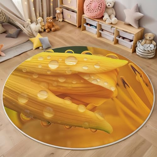 ALTCIRNMD Area Wohnzimmerteppich Schlafzimmerteppich Gelb Tautropfen-Taglilie Teppich 3D-Gedruckter Soft-Touch,Natürliche Pflanzen Für Kinderzimmer Schlafzimmer Dekoration 200Cm von ALTCIRNMD