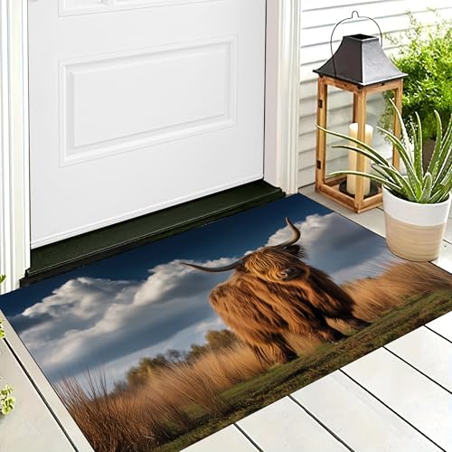 ALTCIRNMD Badteppich rutschfeste,3D-Muster Fußmatte Gelb Hochlandrinder,Badezimmer Deko,Wilde Tiere Badematte Rutschfester Badezimmerteppich Absorbierender Dekorative,60X90Cm ALTCIRNMD Badteppich rutschfeste,3D-Muster Fußmatte Gelb Hochlandrinder,Badezimmer Deko,Wilde Tiere Badematte Rutschfester Badezimmerteppich Absorbierender Dekorative,60X90Cm von ALTCIRNMD