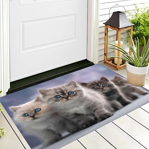 ALTCIRNMD Badteppich rutschfeste,3D-Muster Fußmatte Grau Süße Katze,Badezimmer Deko,Cartoon-Tiere Badematte Rutschfester Badezimmerteppich Absorbierender Dekorative,50X80Cm ALTCIRNMD Badteppich rutschfeste,3D-Muster Fußmatte Grau Süße Katze,Badezimmer Deko,Cartoon-Tiere Badematte Rutschfester Badezimmerteppich Absorbierender Dekorative,50X80Cm von ALTCIRNMD