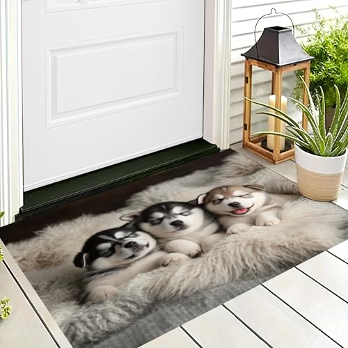ALTCIRNMD Badteppich rutschfeste,3D-Muster Fußmatte Schwarz Weiß Husky-Decke,Badezimmer Deko,Süße Tiere Badematte Rutschfester Badezimmerteppich Absorbierender Dekorative,40X60Cm ALTCIRNMD Badteppich rutschfeste,3D-Muster Fußmatte Schwarz Weiß Husky-Decke,Badezimmer Deko,Süße Tiere Badematte Rutschfester Badezimmerteppich Absorbierender Dekorative,40X60Cm von ALTCIRNMD