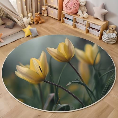 ALTCIRNMD Gelbgrün Blumen Und Grüne Blätter Teppich Rund,3D Ölgemäldepflanzen Rutschfester Bodenmatte Wohnzimmer,Schlafzimmer,Area Kinderzimmer Und Spielzimmer Dekorative Korridor Für Räume,100Cm ALTCIRNMD Gelbgrün Blumen Und Grüne Blätter Teppich Rund,3D Ölgemäldepflanzen Rutschfester Bodenmatte Wohnzimmer,Schlafzimmer,Area Kinderzimmer Und Spielzimmer Dekorative Korridor Für Räume,100Cm von ALTCIRNMD