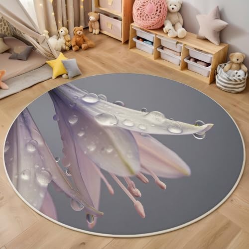 ALTCIRNMD Rosagrau Tautropfen-Funkie Teppich Rund,3D Einfache Pflanzen Rutschfester Bodenmatte Wohnzimmer,Schlafzimmer,Area Kinderzimmer Und Spielzimmer Dekorative Korridor Für Räume,200Cm ALTCIRNMD Rosagrau Tautropfen-Funkie Teppich Rund,3D Einfache Pflanzen Rutschfester Bodenmatte Wohnzimmer,Schlafzimmer,Area Kinderzimmer Und Spielzimmer Dekorative Korridor Für Räume,200Cm von ALTCIRNMD