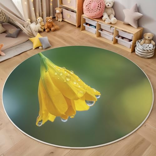 ALTCIRNMD Teppich 3D Druck Gelbgrün Wassertropfenblumen Teppiche Wohnzimmer Große rutschfest Teppiche Modepflanzen Schlafzimmer Badezimmer Küche Bodenmatte Fußmatte,Rund 160Cm ALTCIRNMD Teppich 3D Druck Gelbgrün Wassertropfenblumen Teppiche Wohnzimmer Große rutschfest Teppiche Modepflanzen Schlafzimmer Badezimmer Küche Bodenmatte Fußmatte,Rund 160Cm von ALTCIRNMD