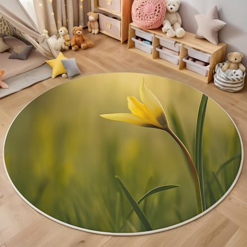 ALTCIRNMD Teppich Rund Gelbgrün Gras Und Blumen Reppich Schlafzimmer,Innenbereich 3D Natürliche Pflanzen Waschbarer rutschfest Flur Weich Fußmatte Für Wohnzimmer,Kinderzimmer,Büro Küche,160Cm von ALTCIRNMD