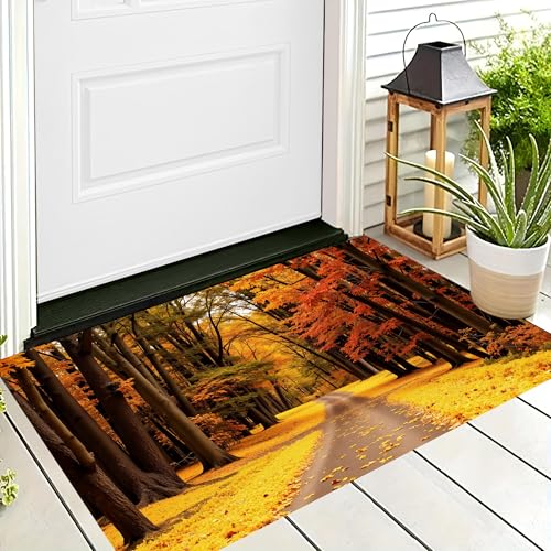 ALTCIRNMD Waschbare Teppiche,Klein rutschfest,Orange-Gelb Schlammwald Natürliche Herbstlandschaft Teppich,Fußmatte Den Innenbereich Terrasse Weicher Teppich Für Eingangsbereich Flur,90X150Cm ALTCIRNMD Waschbare Teppiche,Klein rutschfest,Orange-Gelb Schlammwald Natürliche Herbstlandschaft Teppich,Fußmatte Den Innenbereich Terrasse Weicher Teppich Für Eingangsbereich Flur,90X150Cm von ALTCIRNMD