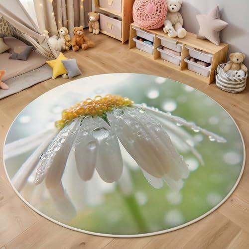 Rund Teppich,120Cm 3D Gelblich Weiß Regentropfen-Gänseblümchen Bedruckt Bereich Kinderteppich Rutschfest Yoga Teppich Frische Pflanzen Für Wohnzimmer Balkon Badezimmer Bedruckter Boden Matte Rund Teppich,120Cm 3D Gelblich Weiß Regentropfen-Gänseblümchen Bedruckt Bereich Kinderteppich Rutschfest Yoga Teppich Frische Pflanzen Für Wohnzimmer Balkon Badezimmer Bedruckter Boden Matte von ALTCIRNMD