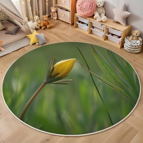 Teppich Rund Gelbgrün Knospen Und Grüne Blätter Reppich Schlafzimmer,Innenbereich 3D Fotografie Pflanzen Waschbarer Rutschfest Flur Weich Fußmatte Für Wohnzimmer,Kinderzimmer,Büro Küche,120Cm von ALTCIRNMD