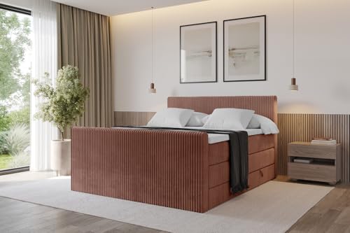 ALTDECOR Boxspringbett mit Matratze und Lattenrost, Topper, Fußteil,Polsterbett mit Bettkasten, Bett mit Stauraum H3- und H4- Matratze, Doppelbett, Springboxbett - TOLO-Z KING 180x200 Cord - Ziegelrot von ALTDECOR