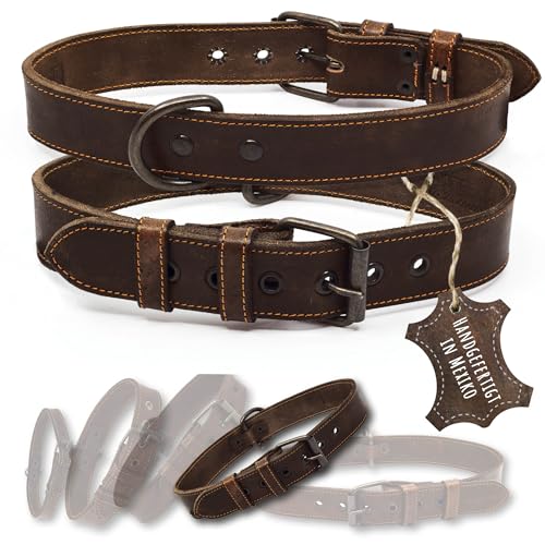 ALTEZAR Lederhalsband Hund - Natur Leder Dunkelbraun - Hochwertig verarbeitetes Hundehalsband - Handgemacht in Mexiko - Halsband Hund Größe L für große Hunde ALTEZAR Lederhalsband Hund - Natur Leder Dunkelbraun - Hochwertig verarbeitetes Hundehalsband - Handgemacht in Mexiko - Halsband Hund Größe L für große Hunde von ALTEZAR