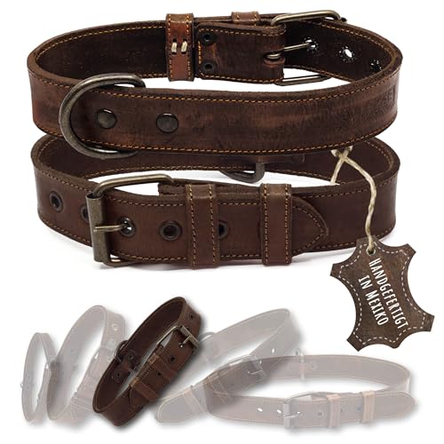 ALTEZAR Lederhalsband Hund - Natur Leder Dunkelbraun - Hochwertig verarbeitetes Hundehalsband - Handgemacht in Mexiko - Halsband Hund Größe M für mittel-große Hunde ALTEZAR Lederhalsband Hund - Natur Leder Dunkelbraun - Hochwertig verarbeitetes Hundehalsband - Handgemacht in Mexiko - Halsband Hund Größe M für mittel-große Hunde von ALTEZAR