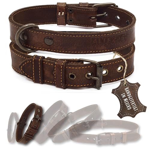ALTEZAR Lederhalsband Hund - Natur Leder Dunkelbraun - Hochwertig verarbeitetes Hundehalsband - Handgemacht in Mexiko - Halsband Hund Größe S für kleine Hunde ALTEZAR Lederhalsband Hund - Natur Leder Dunkelbraun - Hochwertig verarbeitetes Hundehalsband - Handgemacht in Mexiko - Halsband Hund Größe S für kleine Hunde von ALTEZAR