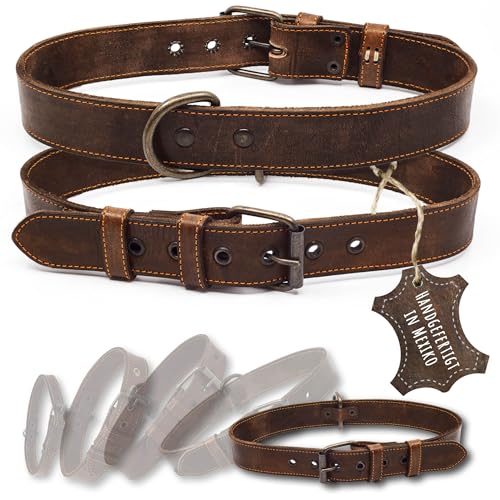 ALTEZAR Lederhalsband Hund - Natur Leder Dunkelbraun - Hochwertig verarbeitetes Hundehalsband - Handgemacht in Mexiko - Halsband Hund Größe XL für sehr große Hunde ALTEZAR Lederhalsband Hund - Natur Leder Dunkelbraun - Hochwertig verarbeitetes Hundehalsband - Handgemacht in Mexiko - Halsband Hund Größe XL für sehr große Hunde von ALTEZAR