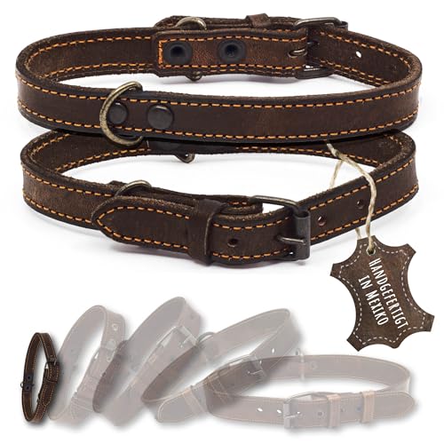 ALTEZAR Lederhalsband Hund - Natur Leder Dunkelbraun - Hochwertig verarbeitetes Hundehalsband - Handgemacht in Mexiko - Halsband Hund Größe XS für sehr kleine Hunde ALTEZAR Lederhalsband Hund - Natur Leder Dunkelbraun - Hochwertig verarbeitetes Hundehalsband - Handgemacht in Mexiko - Halsband Hund Größe XS für sehr kleine Hunde von ALTEZAR