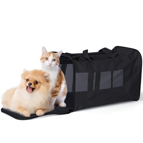 ALXBSONE Transportbox Katze Hund, Katzenrucksack Groß, Faltbare Katzenbox, Katzentasche, Kleine Hundebox Bis 15kg(Schwarz) von ALXBSONE