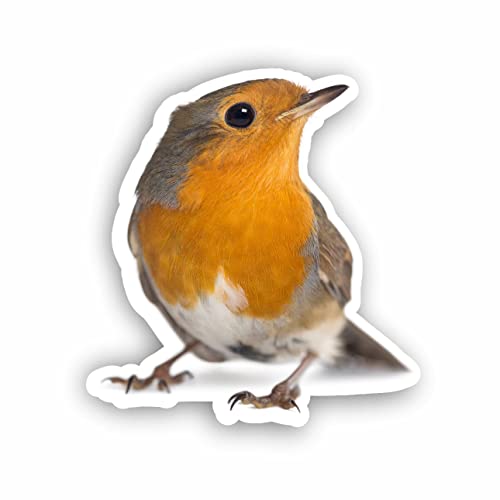 AMA SHOP Aufkleber aus PVC, Rotkehlchen, Modell 2, Aufkleber für Helm, Motorrad, Wohnmobil, Boot, Auto, PC, AutoTuning AMA SHOP Aufkleber aus PVC, Rotkehlchen, Modell 2, Aufkleber für Helm, Motorrad, Wohnmobil, Boot, Auto, PC, AutoTuning von AMA SHOP