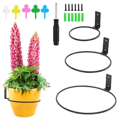 AMANDELIZABE 3 Stück Blumentopf Wand Pflanzen Wandhalterung Wand Hängende Metall Pflanzer Halter Schwarz Runde Blumentopf Wandhängend Für Haus, Garten, Balkon von AMANDELIZABE