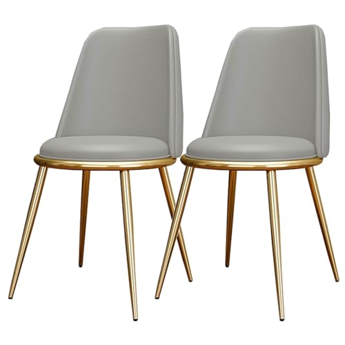 AMAZWI Küchen Esszimmerstühle 2er-Set wasserdichte Wohnzimmerstühle PU-Leder Mit Metallbeinen Weich Gepolsterter Sitzfläche Und Rückenlehne for Büro Lounge Küche, Schlafzimmer(Light Gray) von AMAZWI